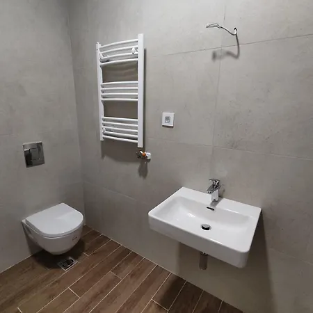 Apartment Ribarac Rezidense